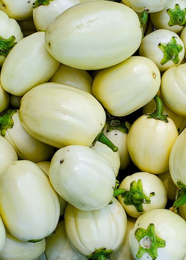 AFRICAN Eggplants