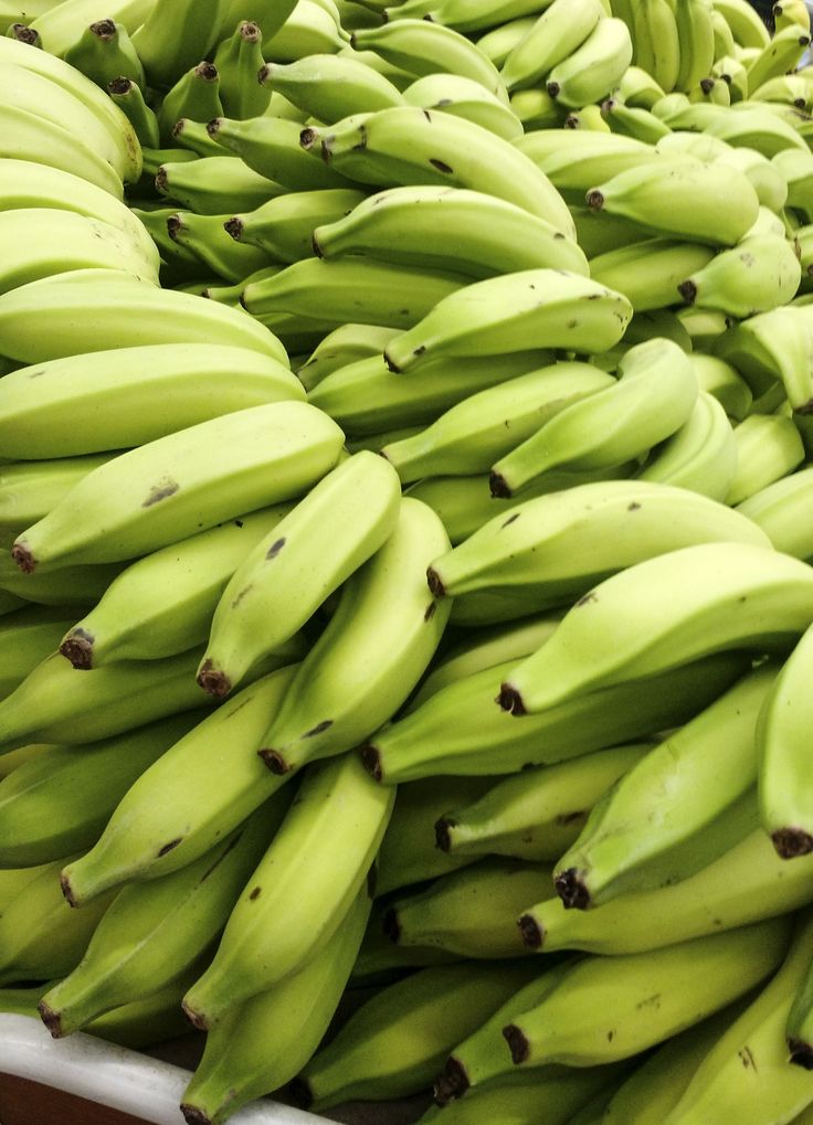 Cavendish Bananas