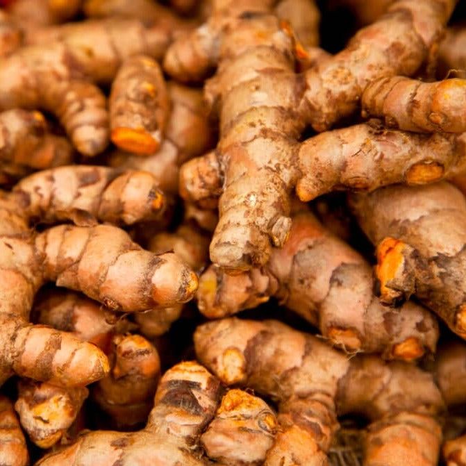 Dried Turmeric Fingers 