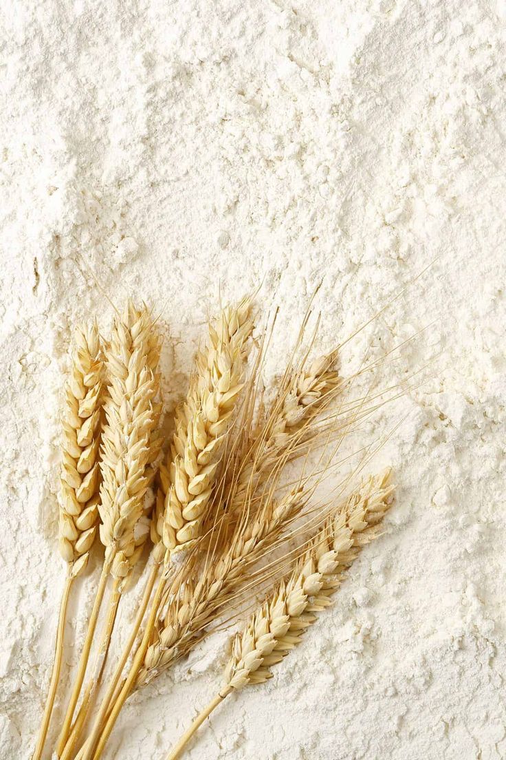 Durum Wheat