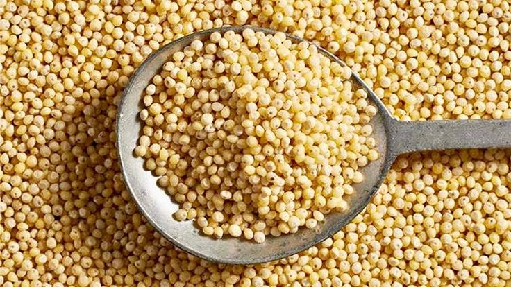 Foxtail Millet