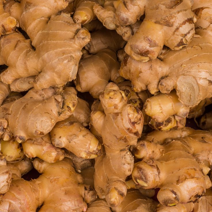 Fresh ginger root  