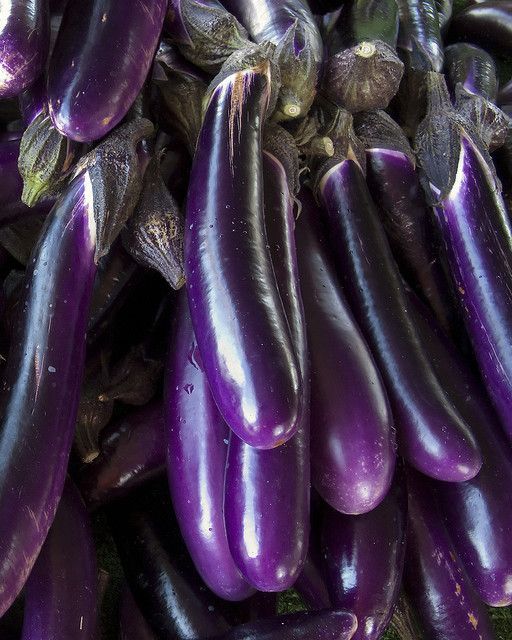 Long purple eggplants