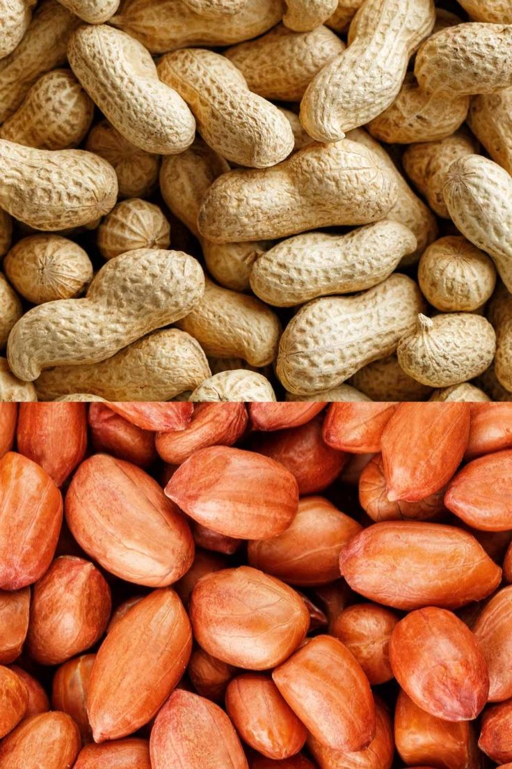 Groundnut Seeds