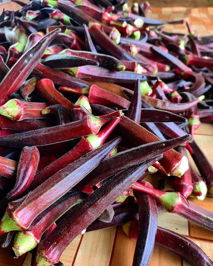 Red okra 