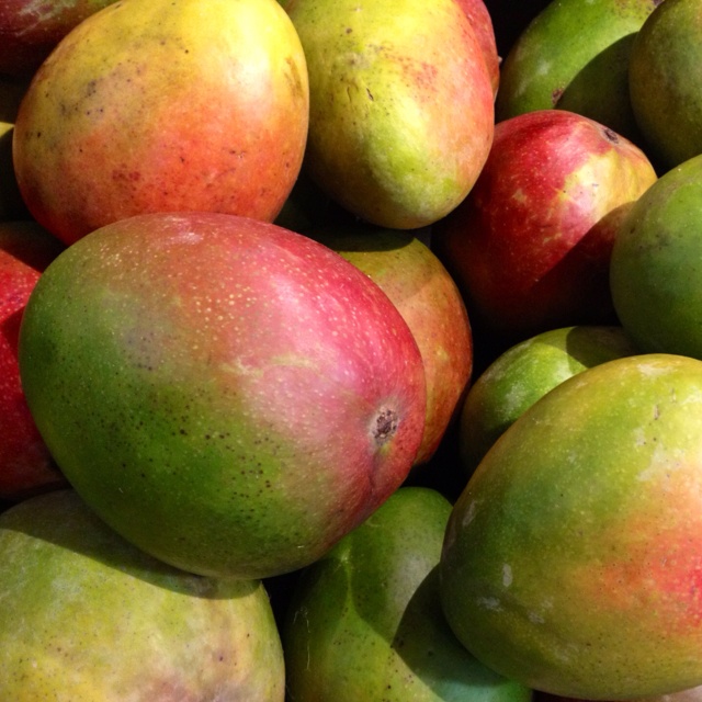 Kent Mangoes