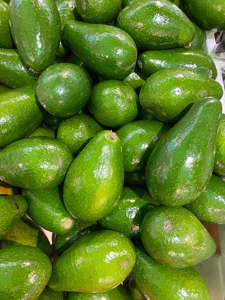 Fuerte Avocado