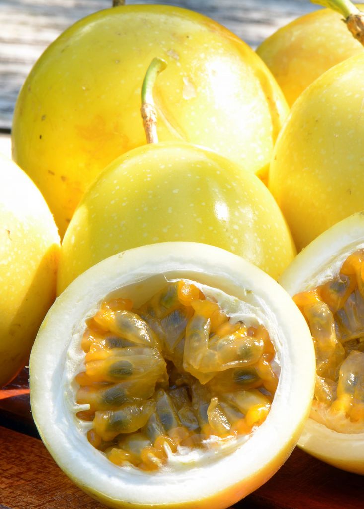 Yellow Passion Fruits